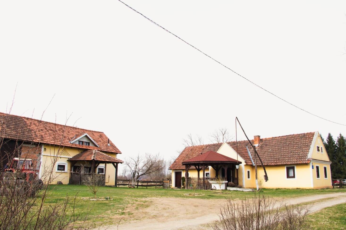 Country House Ivancan Molve Exterior photo