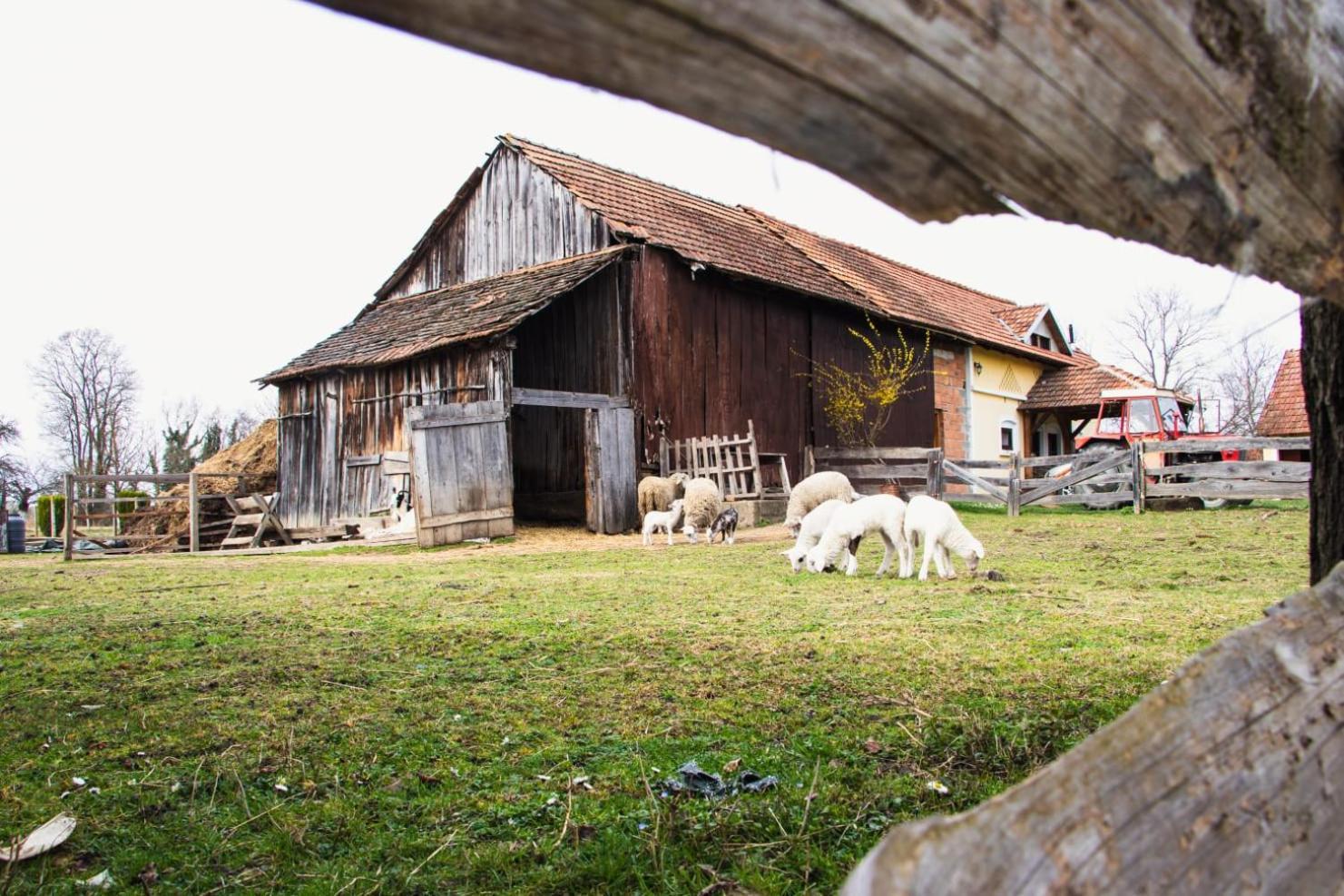Country House Ivancan Molve Exterior photo