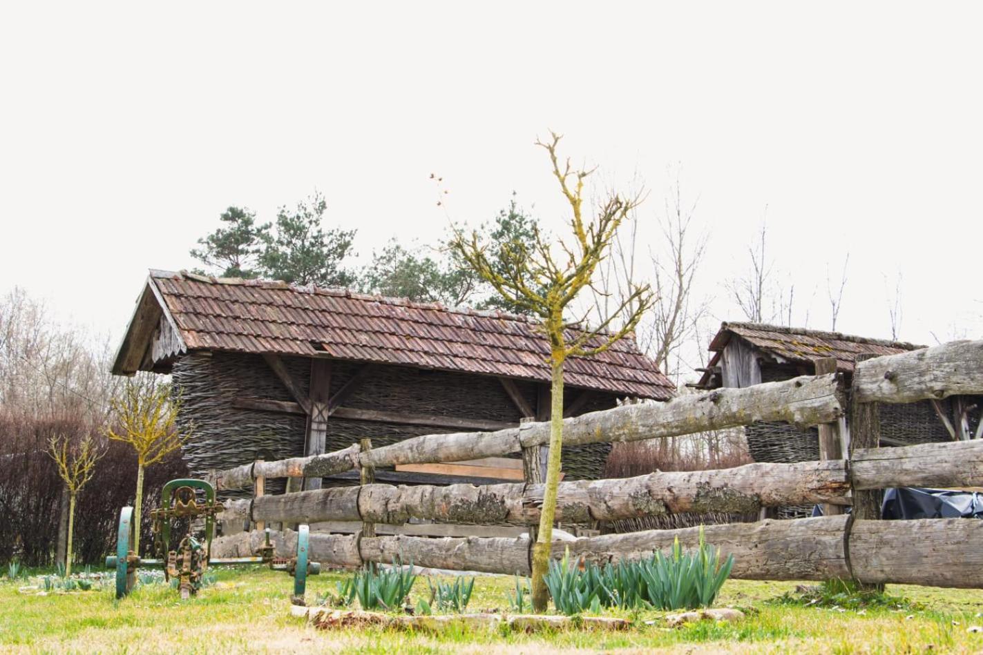 Country House Ivancan Molve Exterior photo