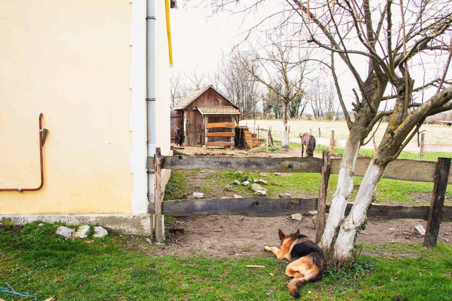 Country House Ivancan Molve Exterior photo