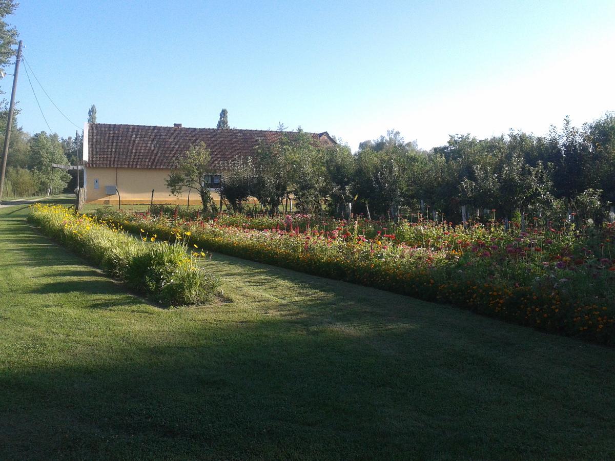 Country House Ivancan Molve Exterior photo