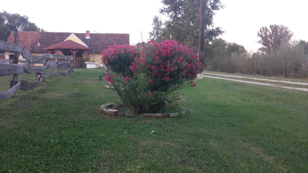 Country House Ivancan Molve Exterior photo